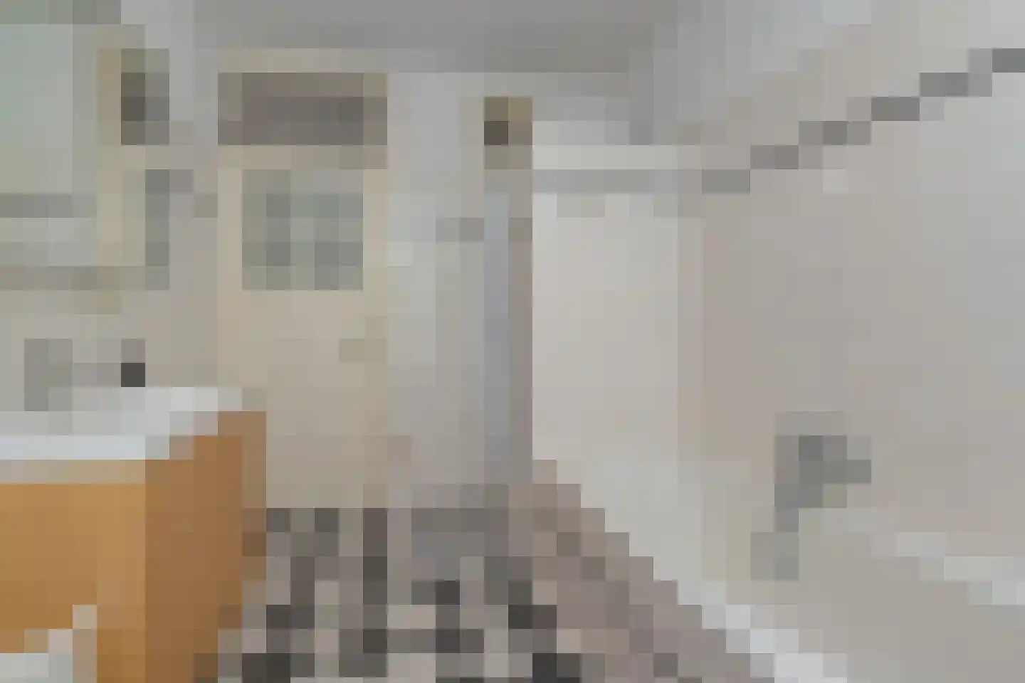 Hendrik Zwaardecroonstraat 199 B Den Haag thumbnail 23