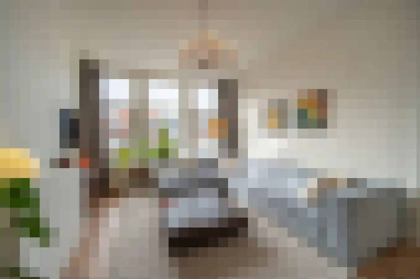 Hendrik Zwaardecroonstraat 206 Den Haag thumbnail 12