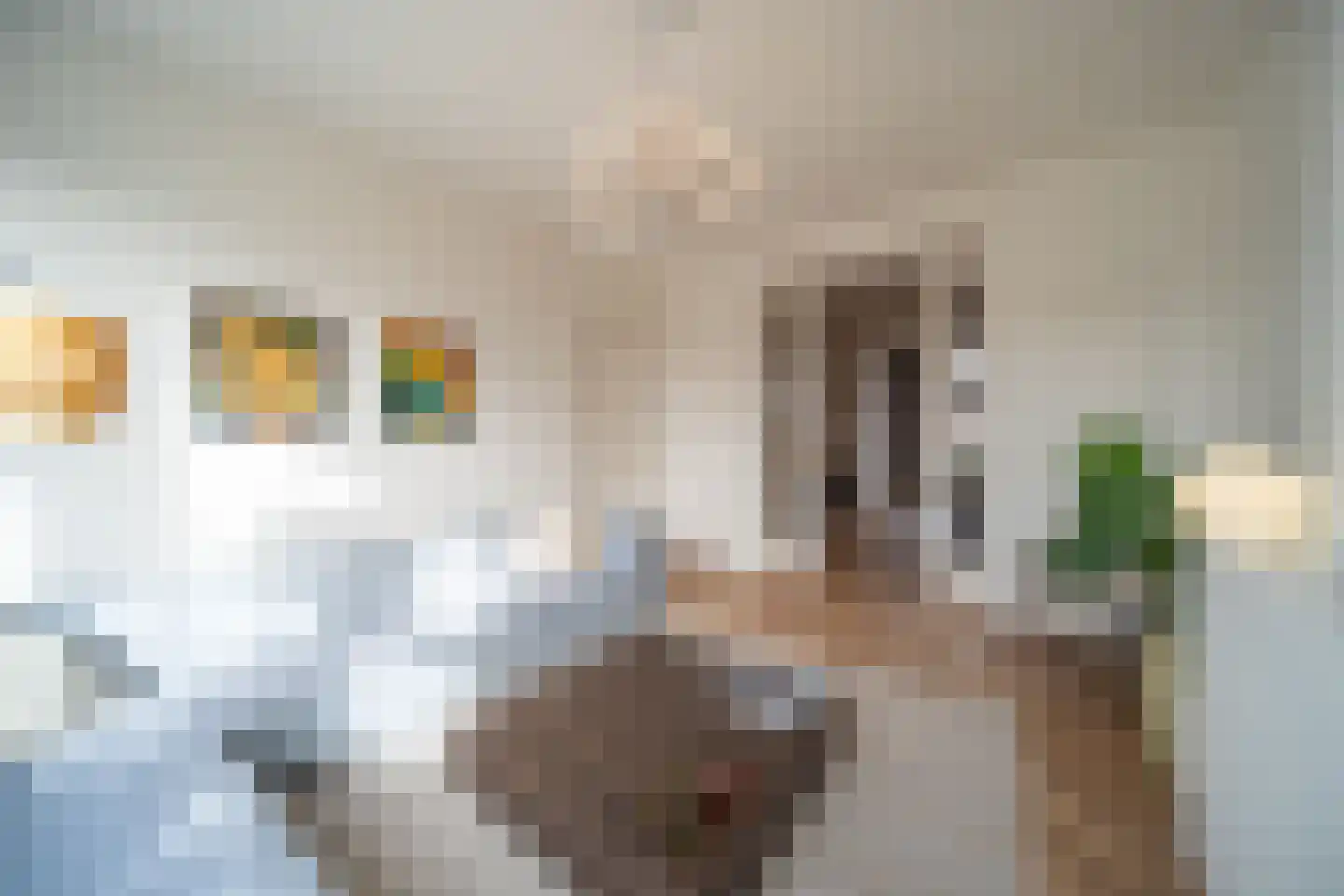 Hendrik Zwaardecroonstraat 206 Den Haag thumbnail 13