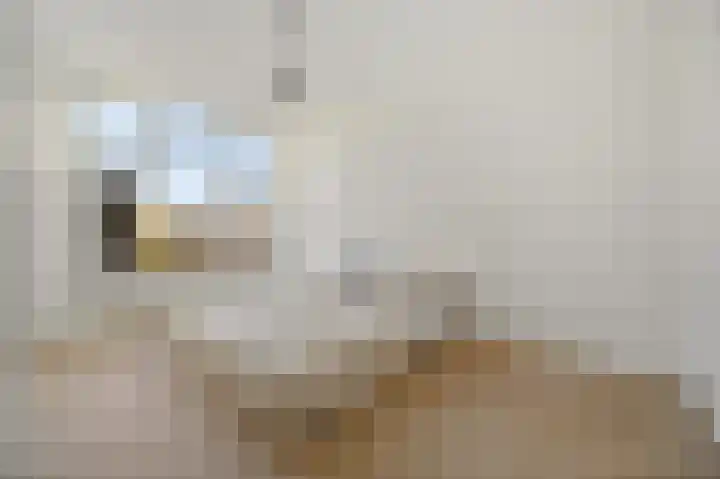 Hendrik Zwaardecroonstraat 222 Den Haag thumbnail 18