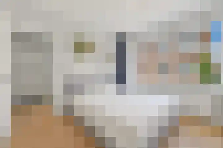 Hendrik Zwaardecroonstraat 62 Den Haag thumbnail 8