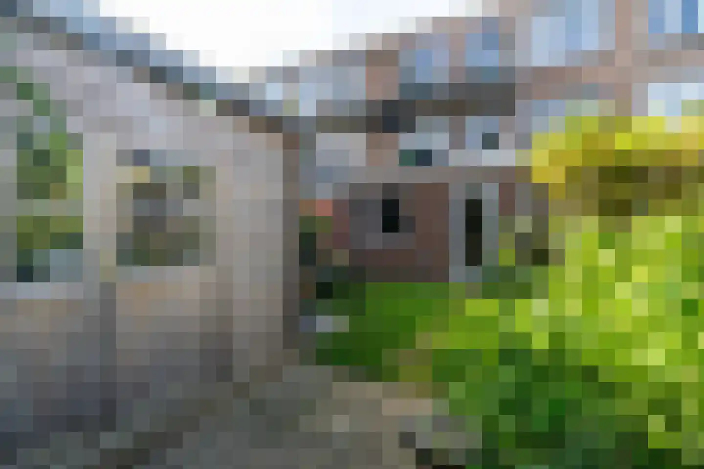 Hendrik Zwaardecroonstraat 84 Den Haag thumbnail 20