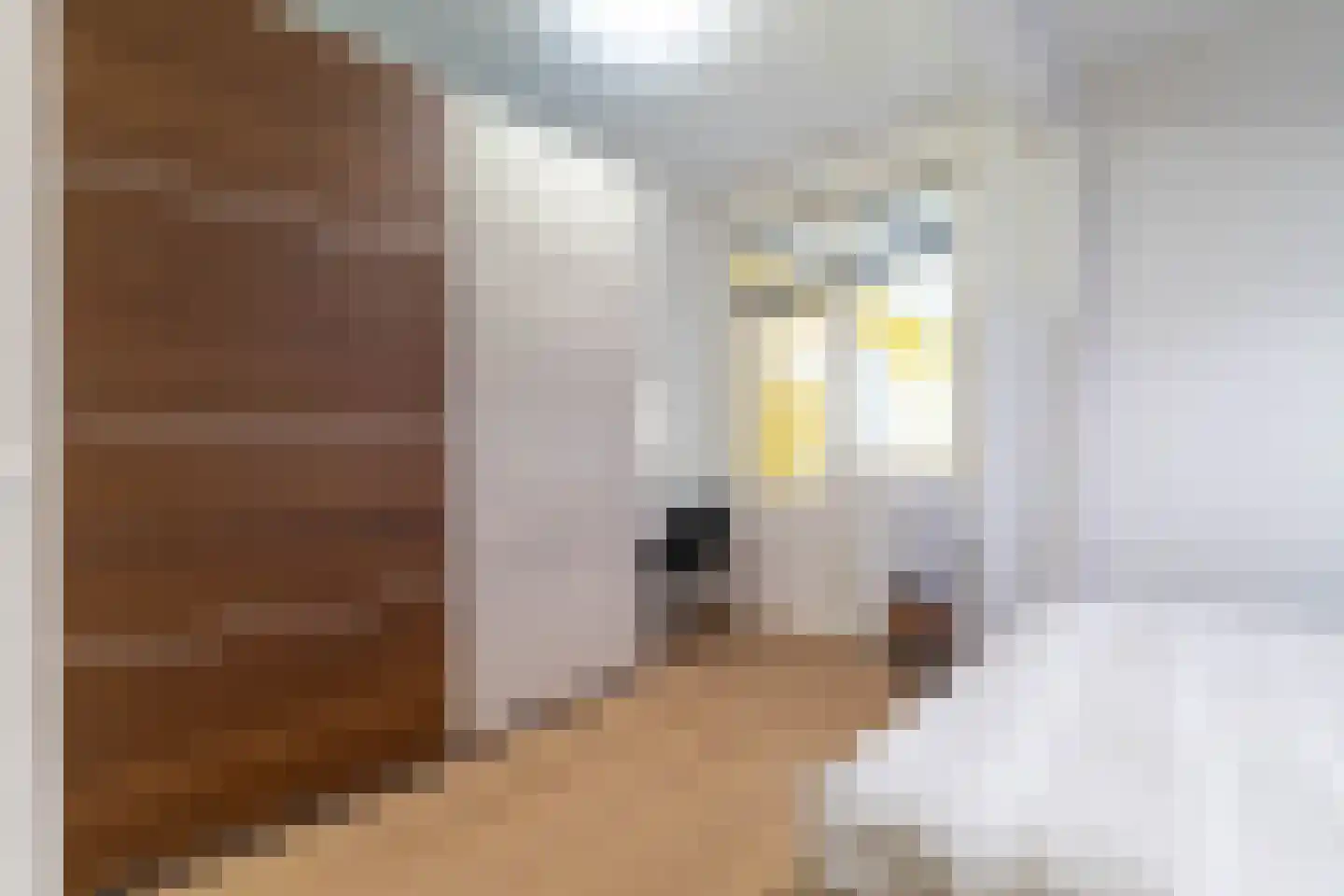 Hendrik Zwaardecroonstraat 84 Den Haag thumbnail 24