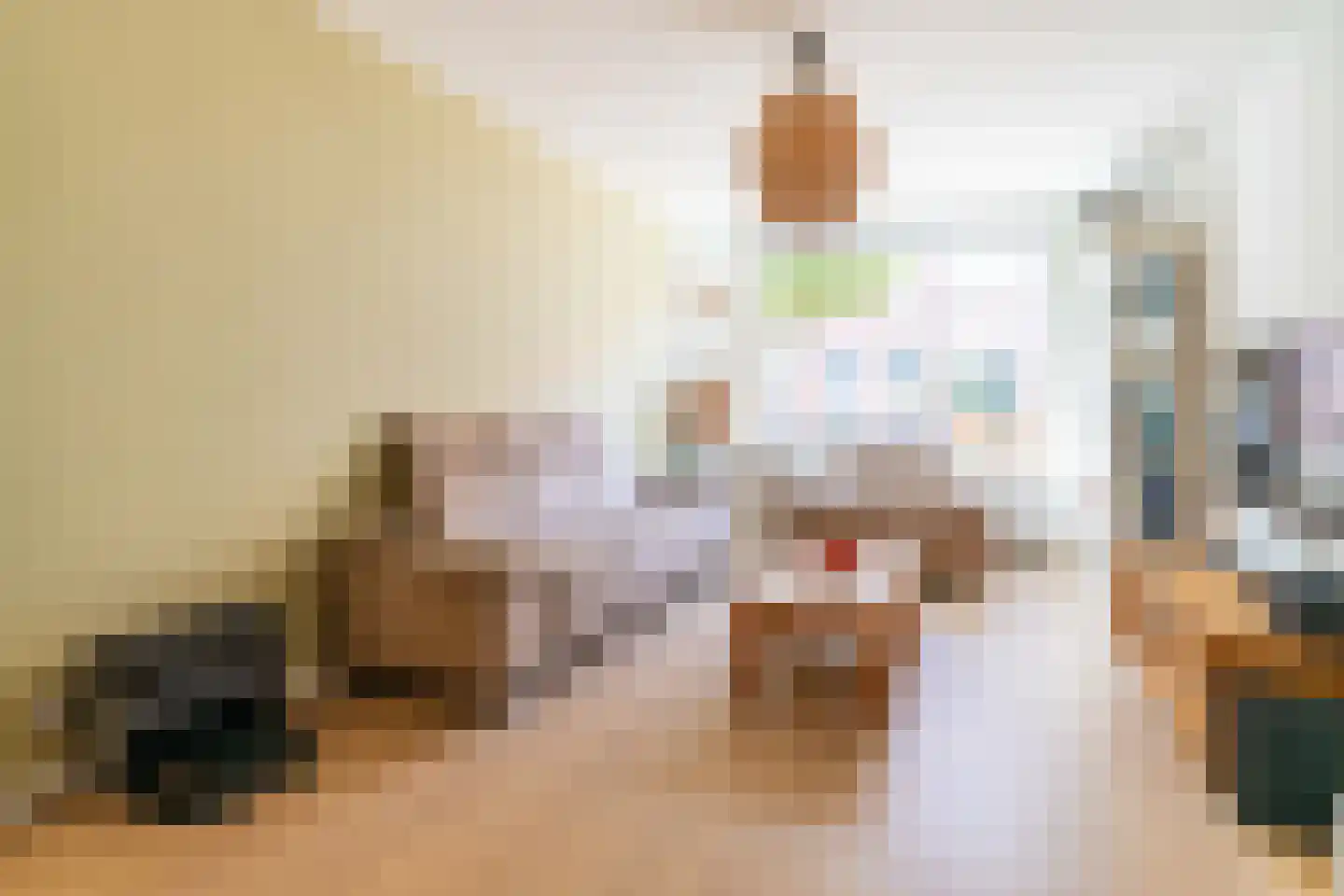 Hendrik Zwaardecroonstraat 84 Den Haag thumbnail 8