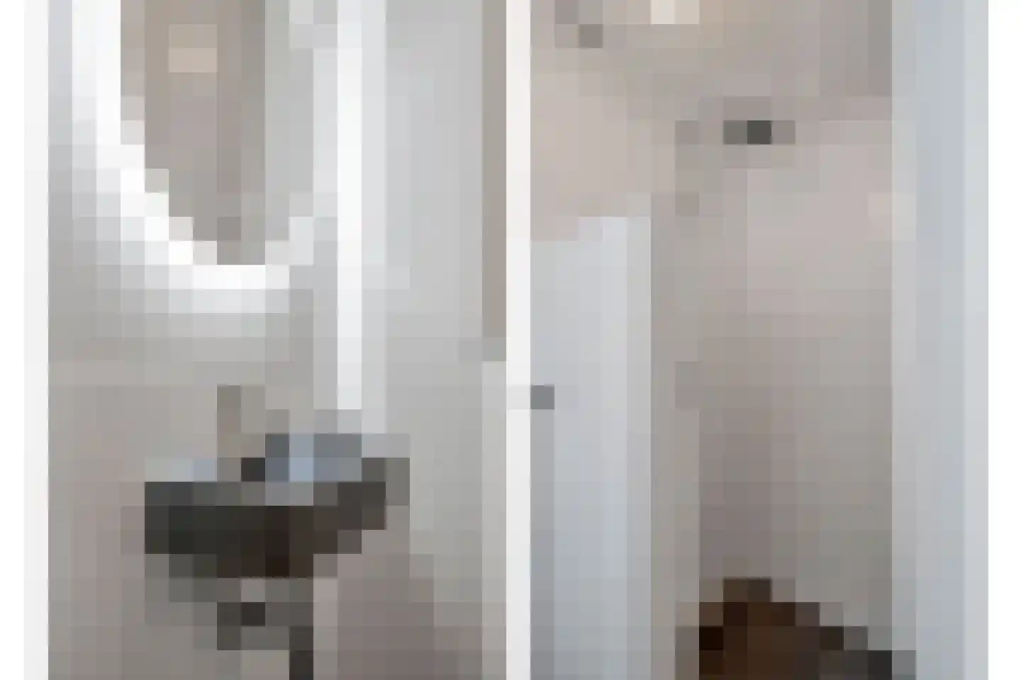 Hendrik Zwaardecroonstraat 92 Den Haag thumbnail 18