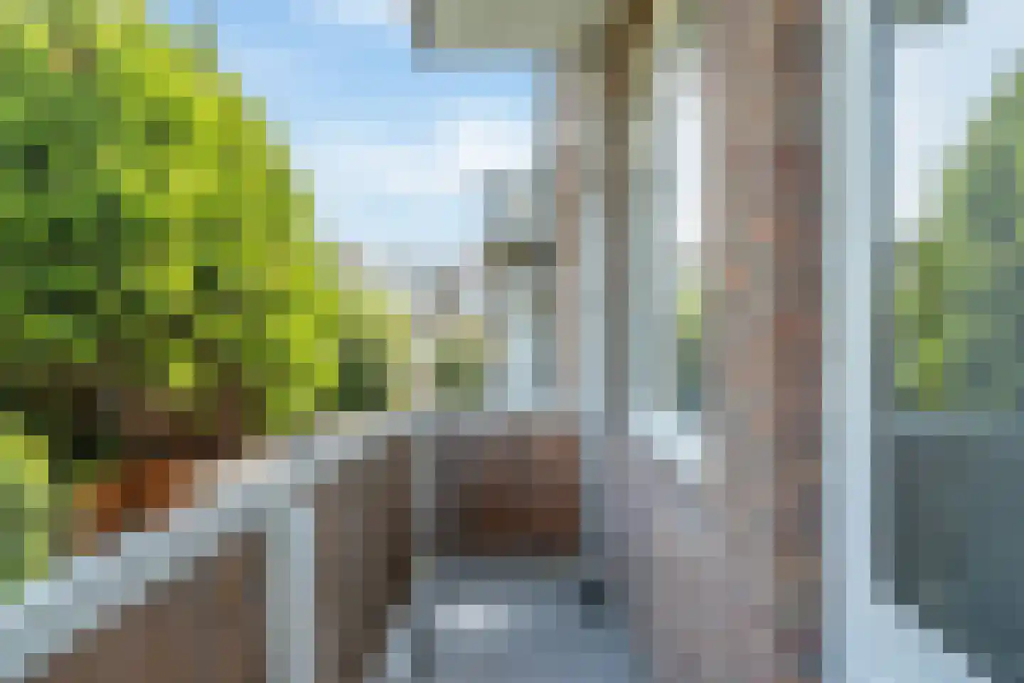 Hendrik Zwaardecroonstraat 92 Den Haag thumbnail 5