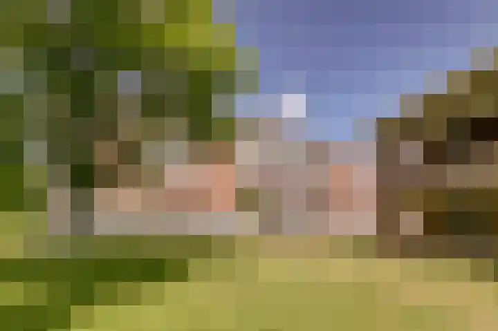 Hendrika van Tussenbroeklaan 100 Utrecht thumbnail 26