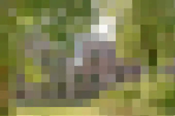 Hendrika van Tussenbroeklaan 100 Utrecht thumbnail 32