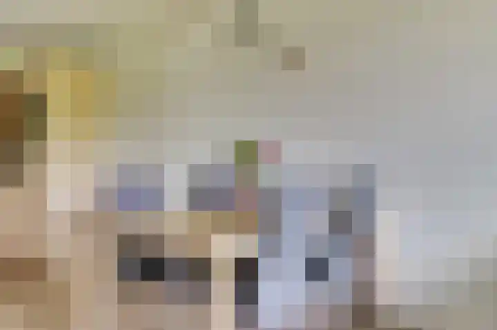 Hendrika van Tussenbroeklaan 100 Utrecht thumbnail 7