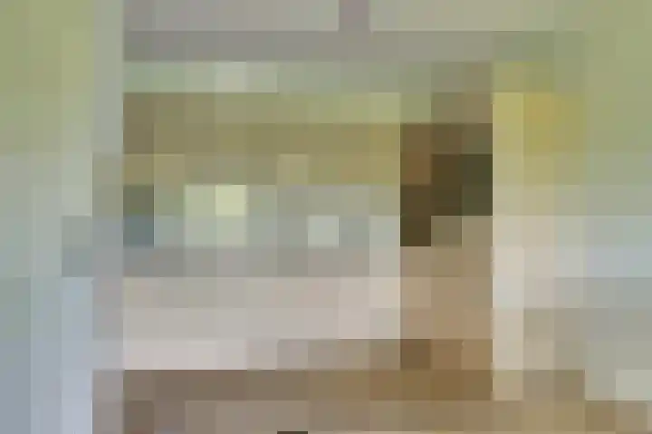 Hendrika van Tussenbroeklaan 100 Utrecht thumbnail 8