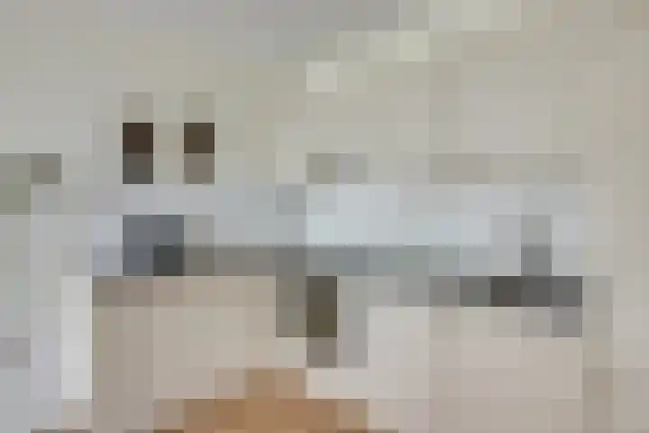 Hendrika van Tussenbroeklaan 118 Utrecht thumbnail 13