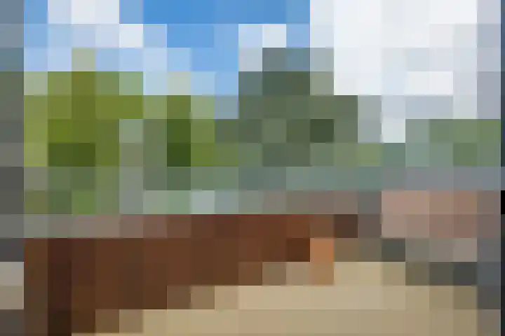 Hendrika van Tussenbroeklaan 118 Utrecht thumbnail 16