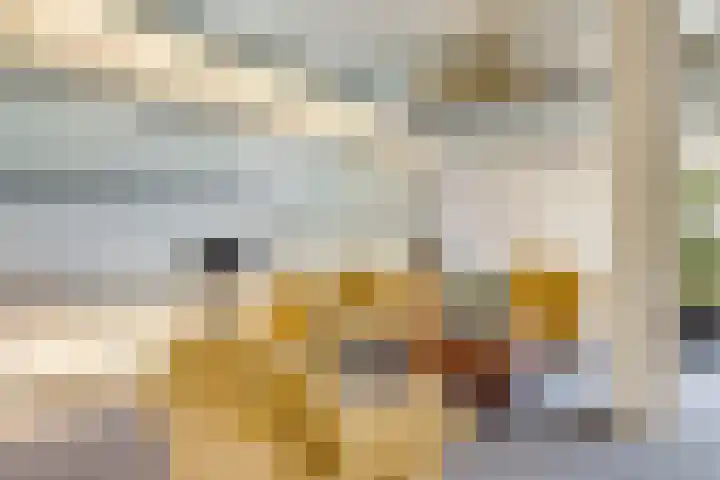 Hendrika van Tussenbroeklaan 118 Utrecht thumbnail 30