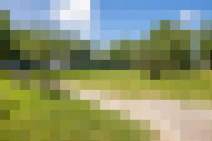 Hendrika van Tussenbroeklaan 118 Utrecht thumbnail 34