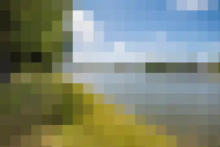Hendrika van Tussenbroeklaan 118 Utrecht thumbnail 35