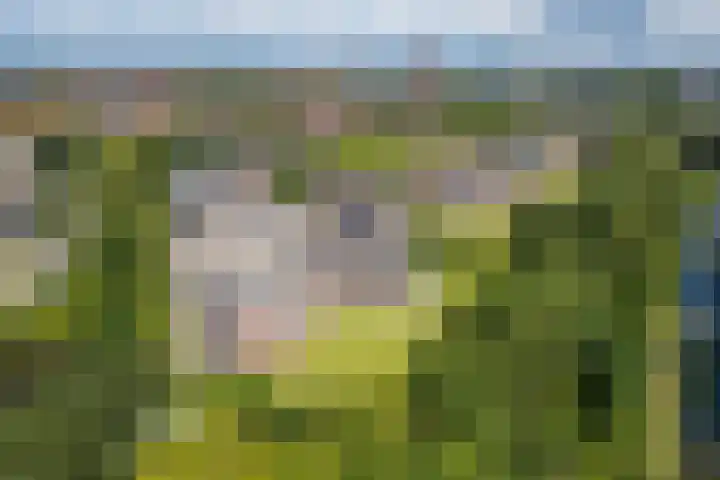 Hendrika van Tussenbroeklaan 118 Utrecht thumbnail 38