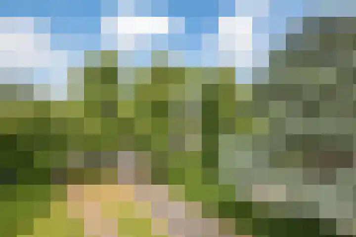 Hendrika van Tussenbroeklaan 118 Utrecht thumbnail 8