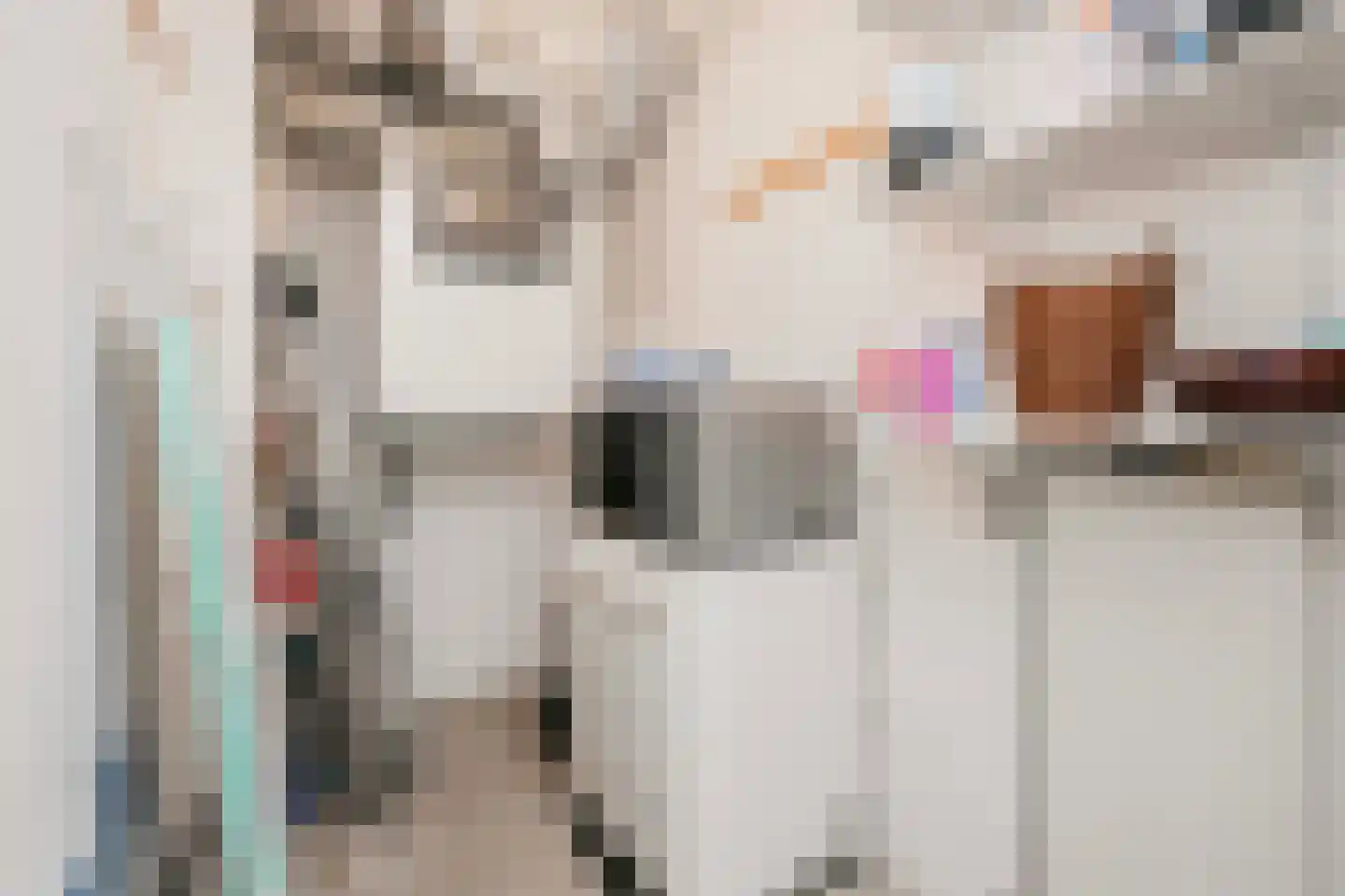 Hendrika van Tussenbroeklaan 150 Utrecht thumbnail 31