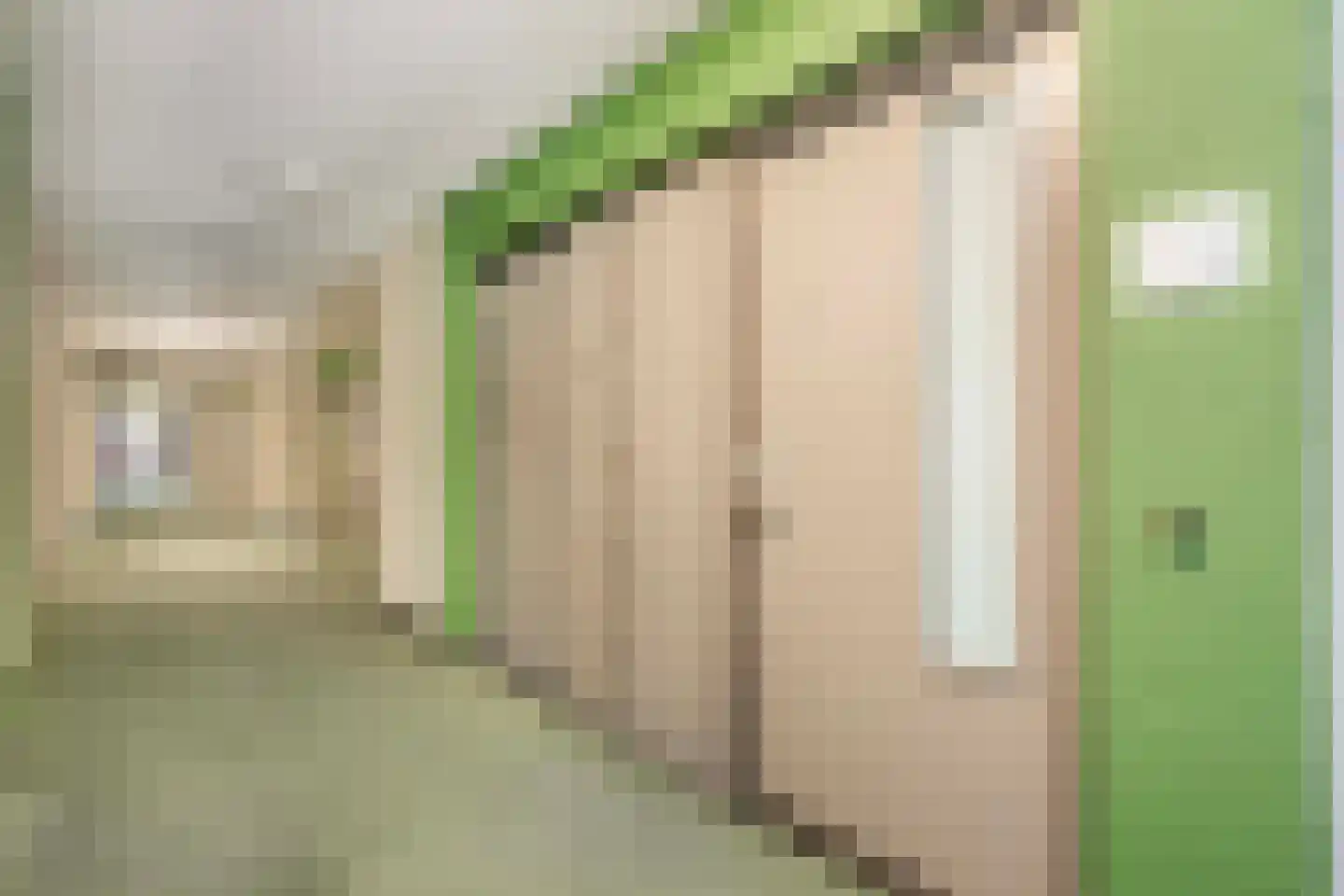 Hendrika van Tussenbroeklaan 150 Utrecht thumbnail 32