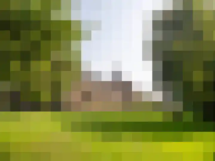 Hendrika van Tussenbroeklaan 214 Utrecht thumbnail 20