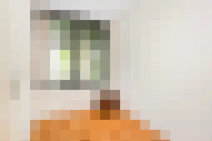 Hendrika van Tussenbroeklaan 26 Utrecht thumbnail 17