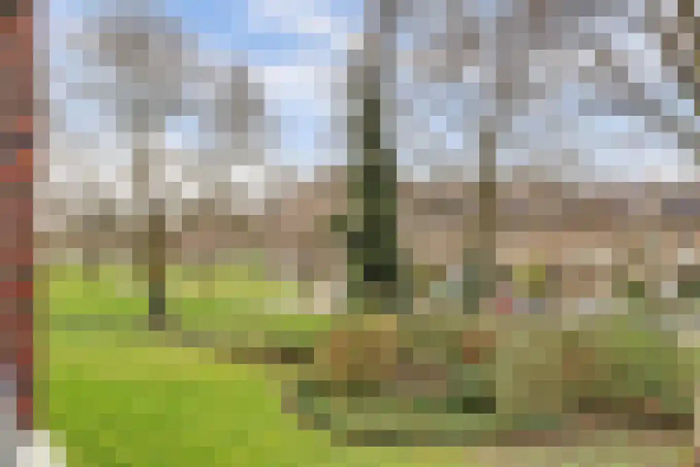 Hendrika van Tussenbroeklaan 44 Utrecht thumbnail 14