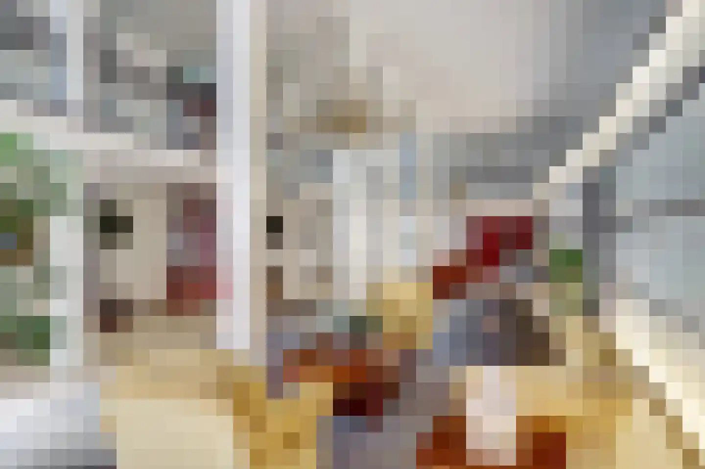 Hendrika van Tussenbroeklaan 44 Utrecht thumbnail 25