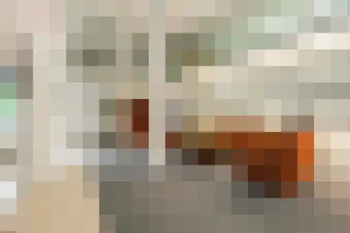 Hendrika van Tussenbroeklaan 50 Utrecht thumbnail 12