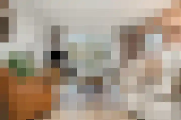 Hendrika van Tussenbroeklaan 50 Utrecht thumbnail 20