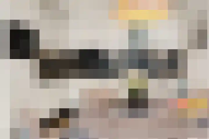 Hendrika van Tussenbroeklaan 50 Utrecht thumbnail 26