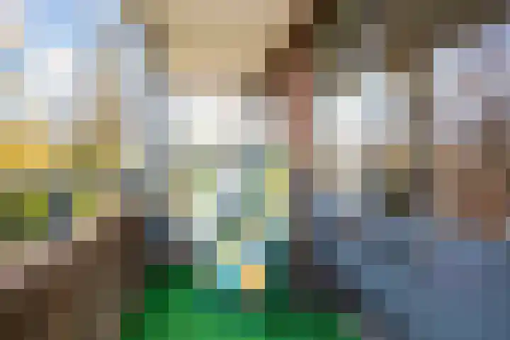 Hendrika van Tussenbroeklaan 50 Utrecht thumbnail 31