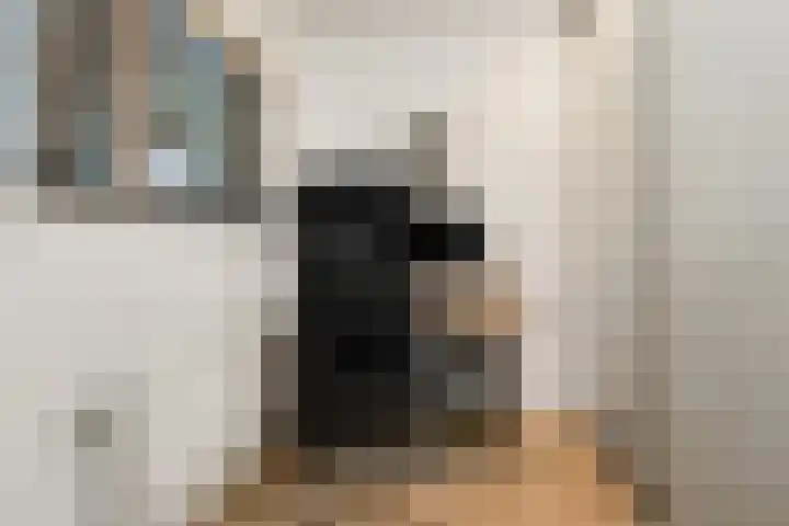Hendrika van Tussenbroeklaan 50 Utrecht thumbnail 37