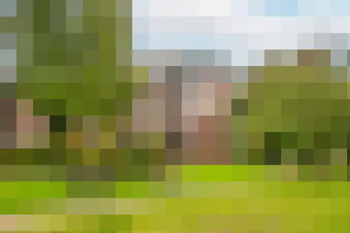 Hendrika van Tussenbroeklaan 50 Utrecht thumbnail 50