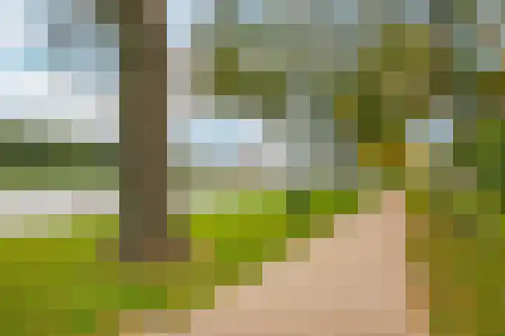 Hendrika van Tussenbroeklaan 50 Utrecht thumbnail 54