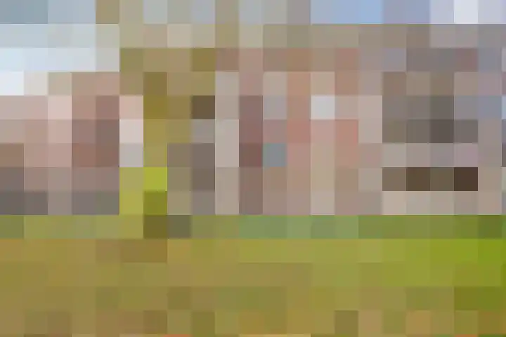 Hendrika van Tussenbroeklaan 50 Utrecht thumbnail 58