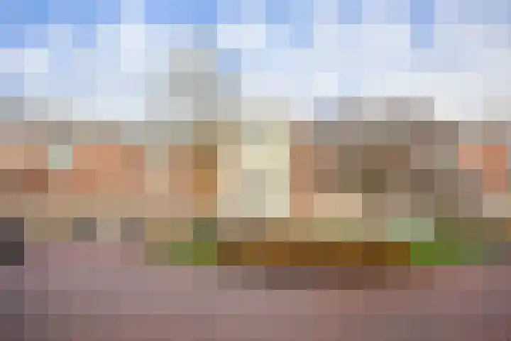 Hendrika van Tussenbroeklaan 50 Utrecht thumbnail 8