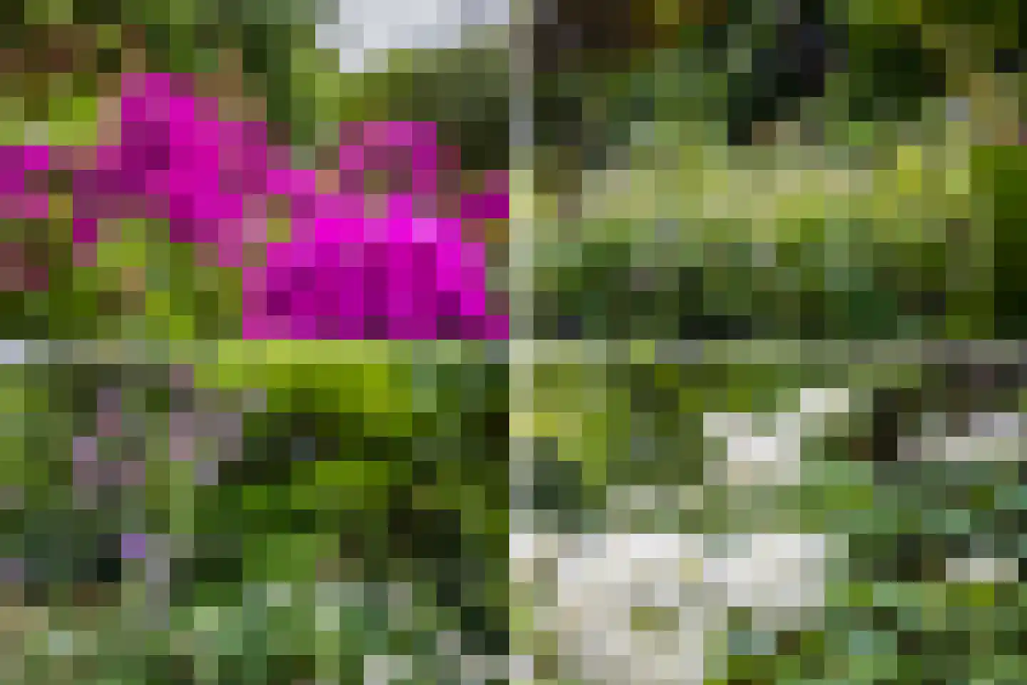 Hendrika van Tussenbroekplantsoen 6 Utrecht thumbnail 30
