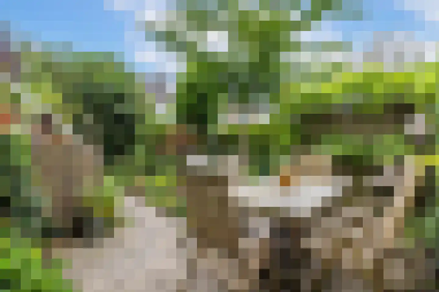 Hendrika van Tussenbroekplantsoen 6 Utrecht thumbnail 31
