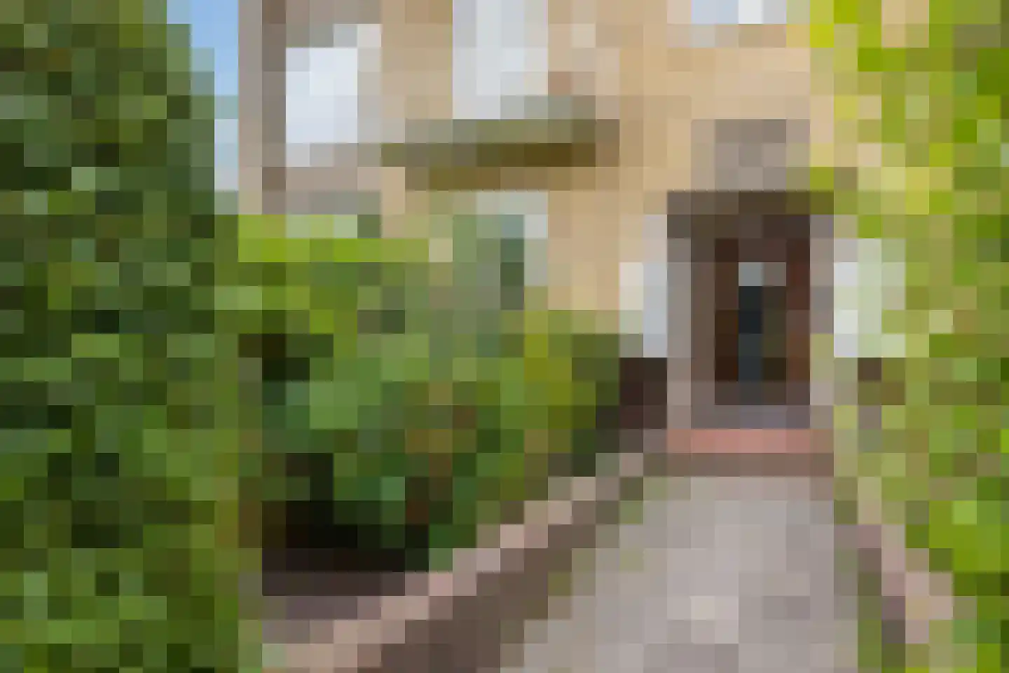 Hendrika van Tussenbroekplantsoen 6 Utrecht thumbnail 5