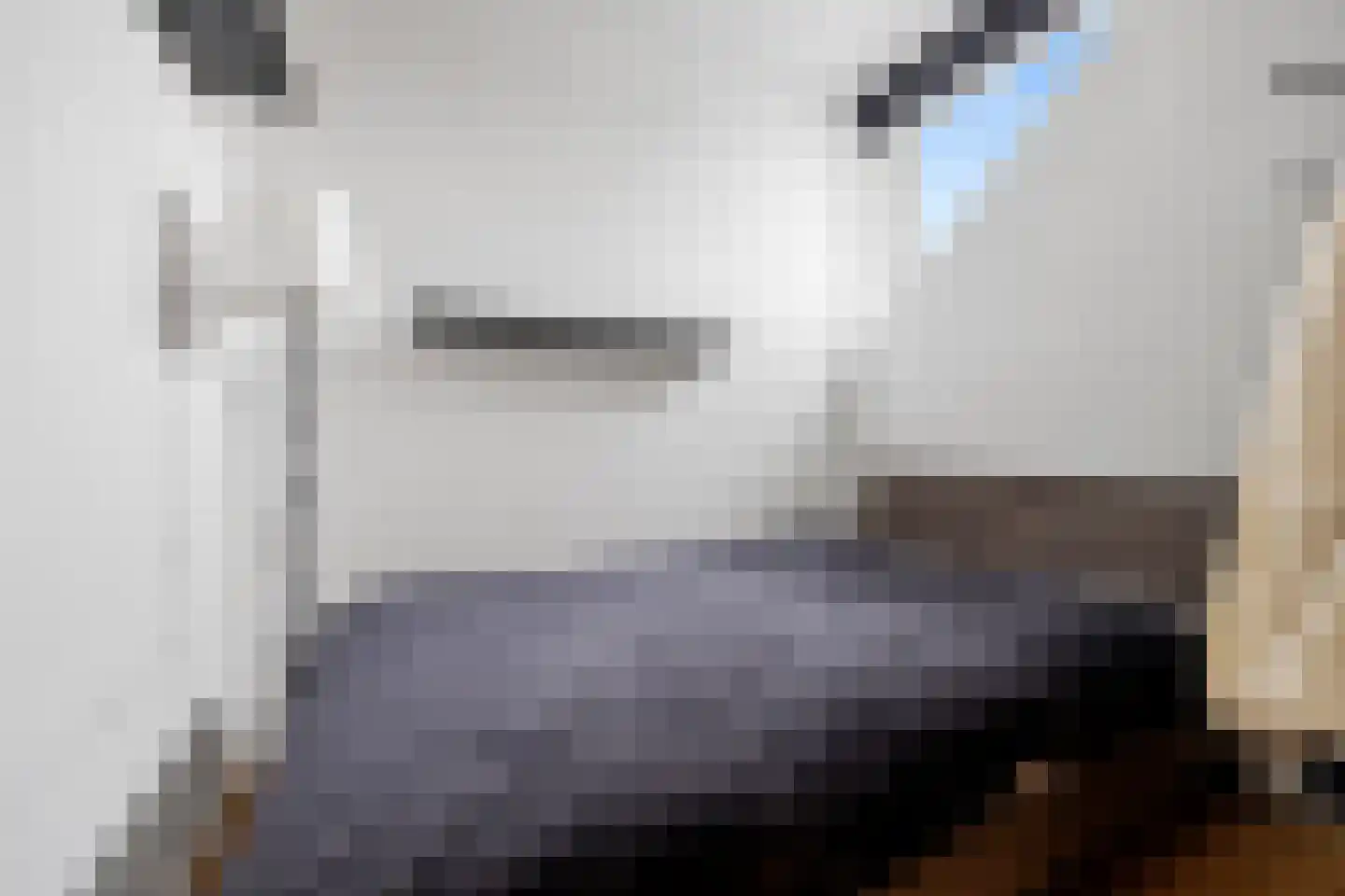 Hendrikhof 14 A Nijmegen thumbnail 19