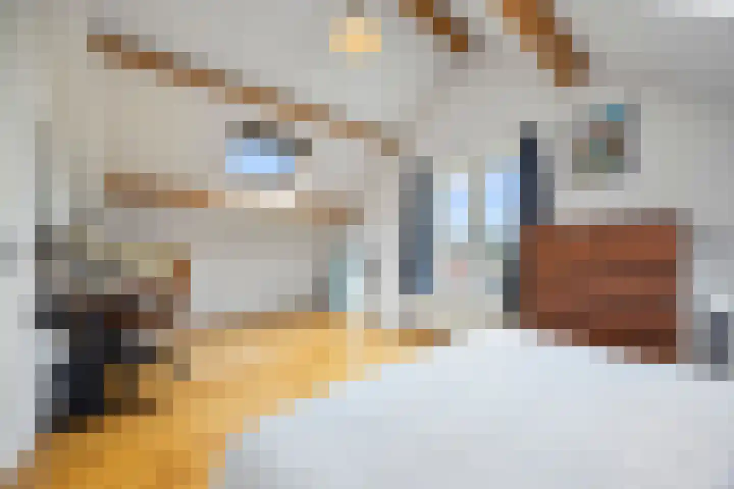 Hendrikhof 14 A Nijmegen thumbnail 21