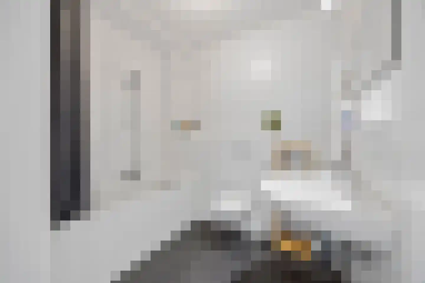 Hendrikhof 14 A Nijmegen thumbnail 23