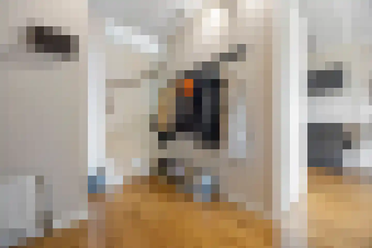 Hendrikhof 14 A Nijmegen thumbnail 23