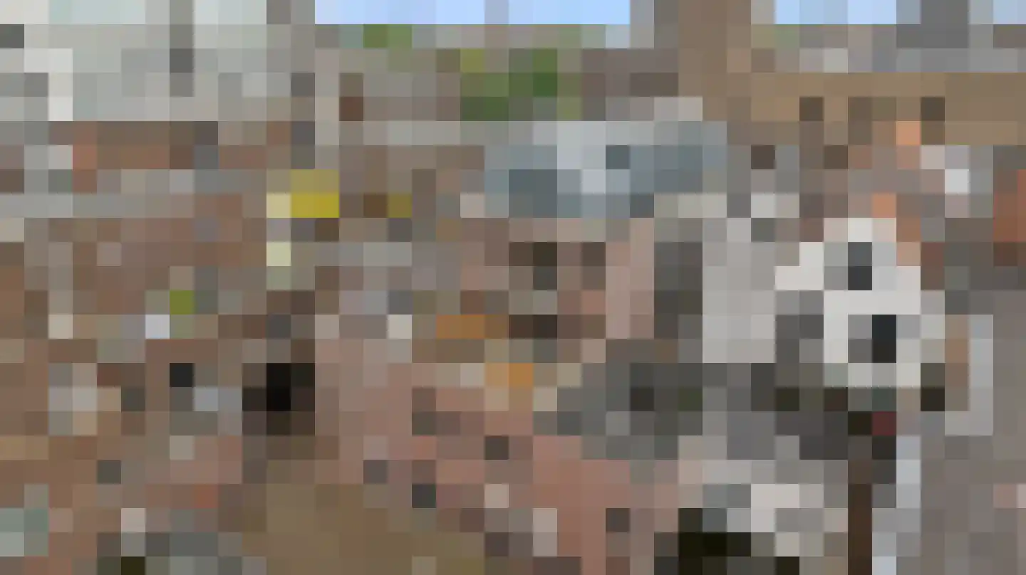 Hendrikhof 14 A Nijmegen thumbnail 29