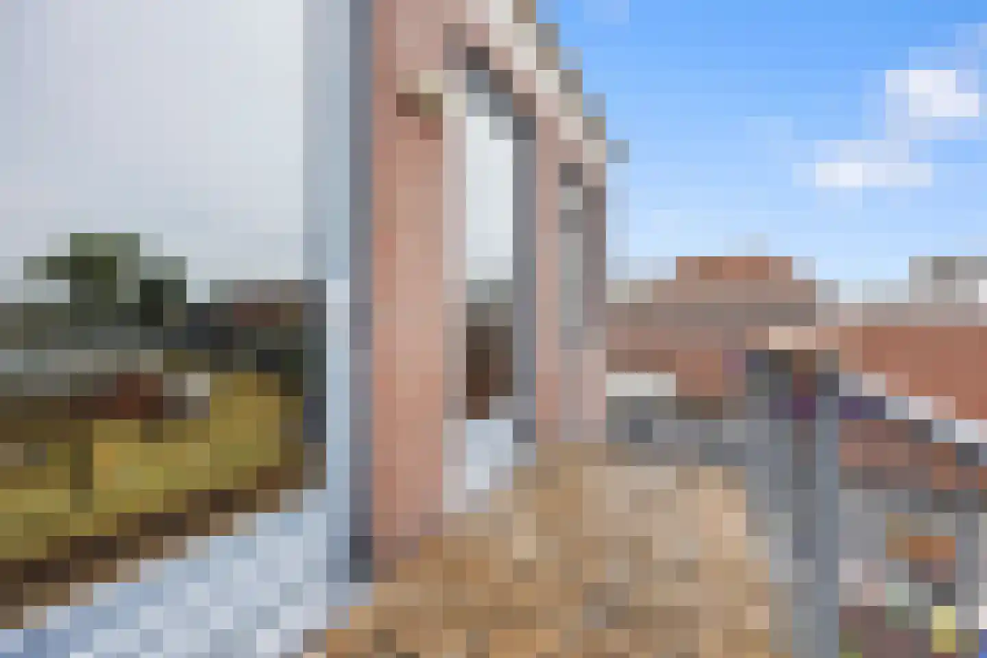 Hendrikhof 14 A Nijmegen thumbnail 7