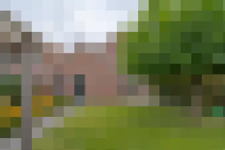 Hendrikjesweg 11 Hattem thumbnail 31