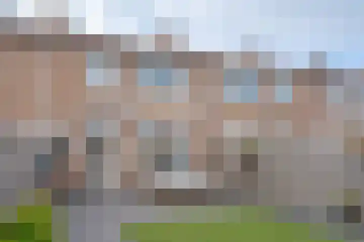 Hendrikjesweg 77 Hattem thumbnail 21