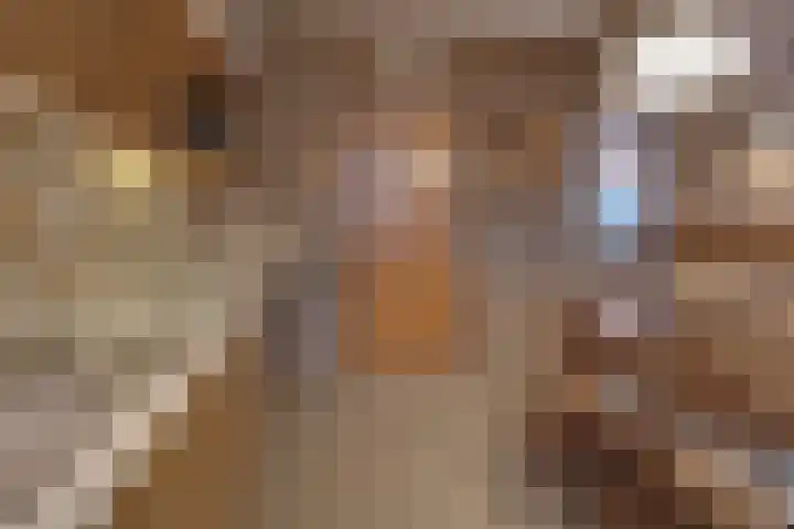 Hendriklaan 14 Susteren thumbnail 19