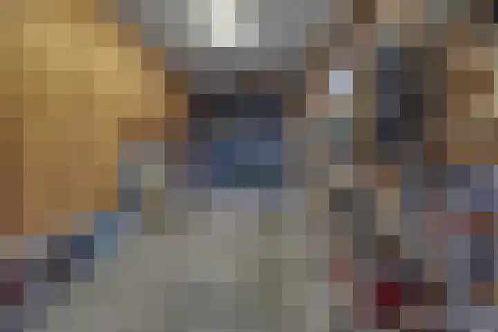 Hendriklaan 14 Susteren thumbnail 42