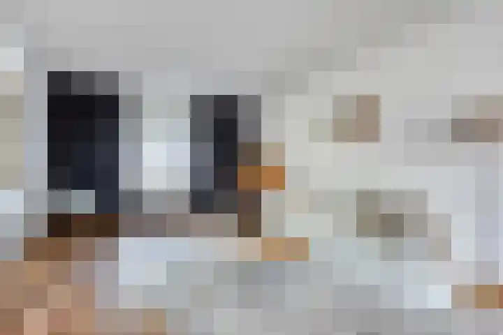 Hendriklaan 5 Oss thumbnail 11